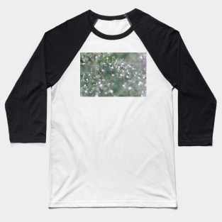 White Baby's Breath (Gypsophila paniculata) flowers Baseball T-Shirt